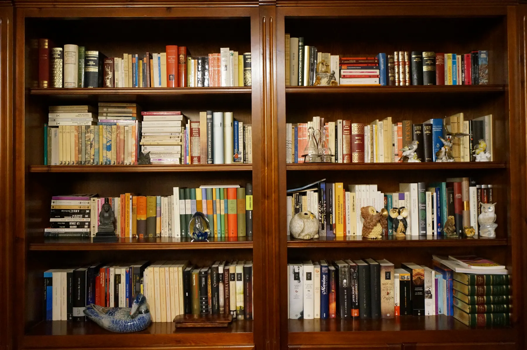 Warm wooden bookcases filled with hardbacks and paperbacks